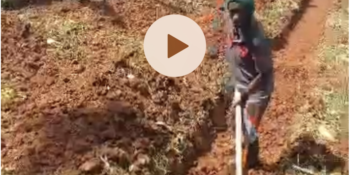 Screenshot 2024-07-25 at 11.02.45 AM Poultry Farm Video